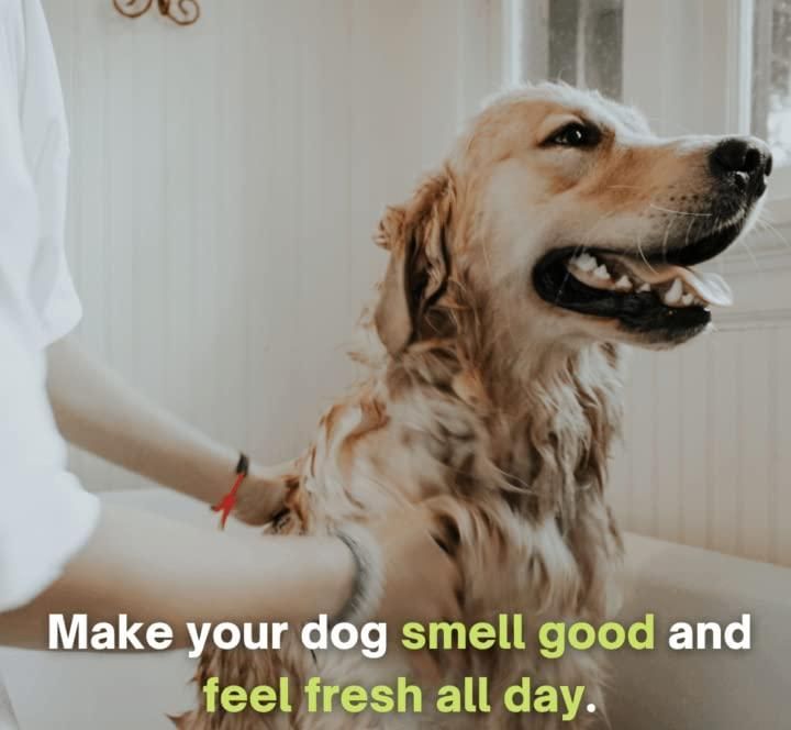 Anti-Itch Dog Shampoo